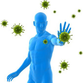 MegaFood Immune Health Formulas
