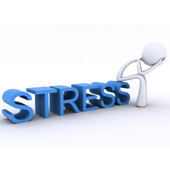 MegaFood Stress and Sleep Management
